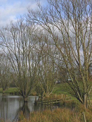 Hellmoor, Panten, Schleswig-Holstein