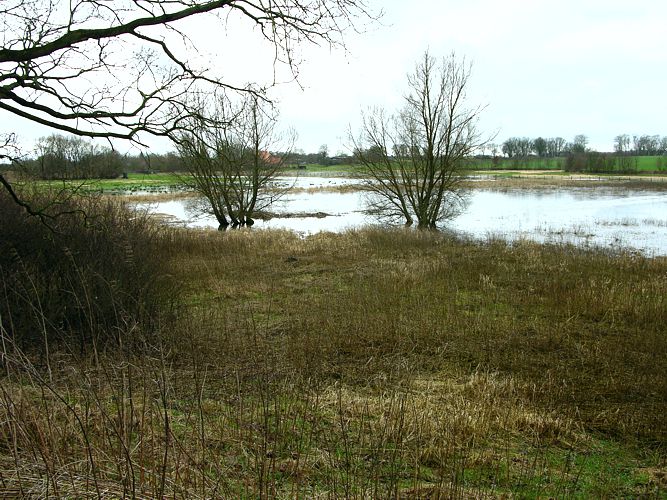 Winterwasser Duvenseebach