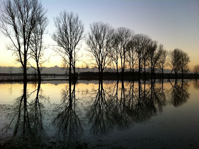 Spiegelung Duvensee